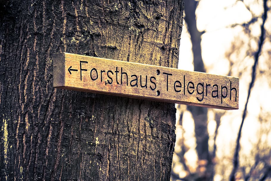 directory, shield, note, name, direction, arrow, signposts HD wallpaper