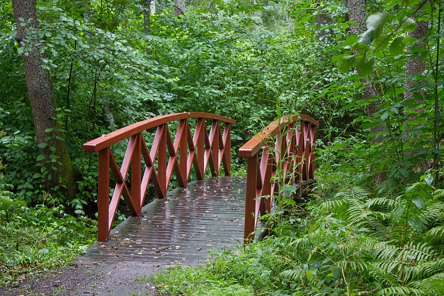 bridge, small bridge, red, green, trees, leaf, scandinavia HD wallpaper