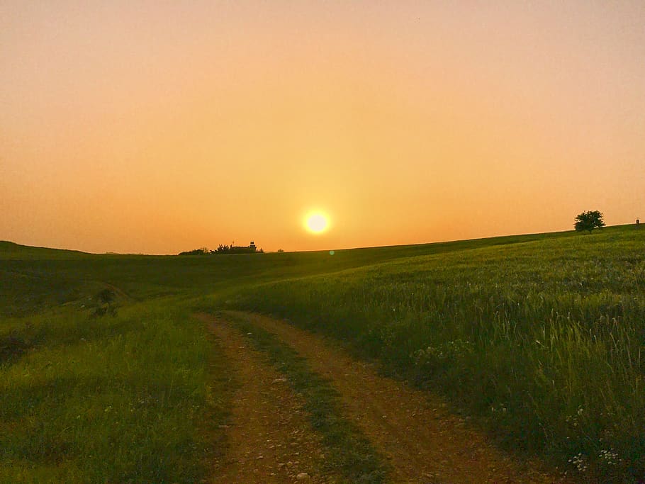 lebanon, sunset, field, fields, green, color, colors, road HD wallpaper