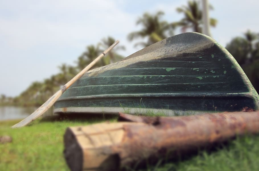 Boat on shore, concepts, ideas, nature, plant, day, close-up HD wallpaper