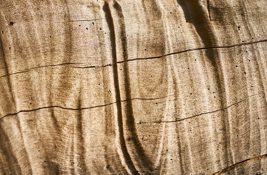wood, timber, texture, tree, pattern, old, carpentry, natural HD wallpaper