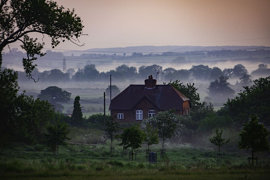 red house surrounded by trees, cottage, building, housing, plant, HD wallpaper