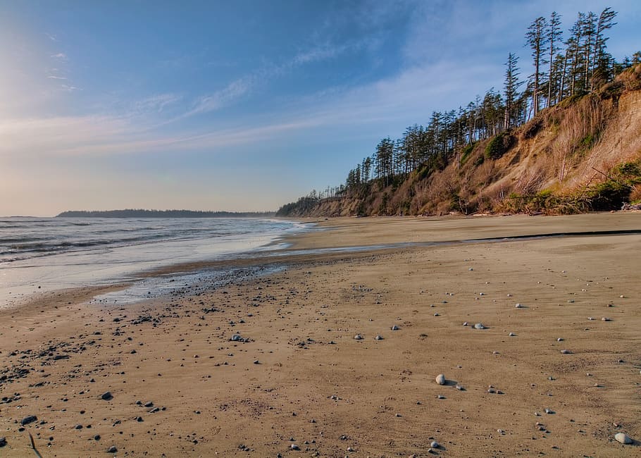 seashore during daytime, ocean, nature, beach, water, coast, outdoors HD wallpaper
