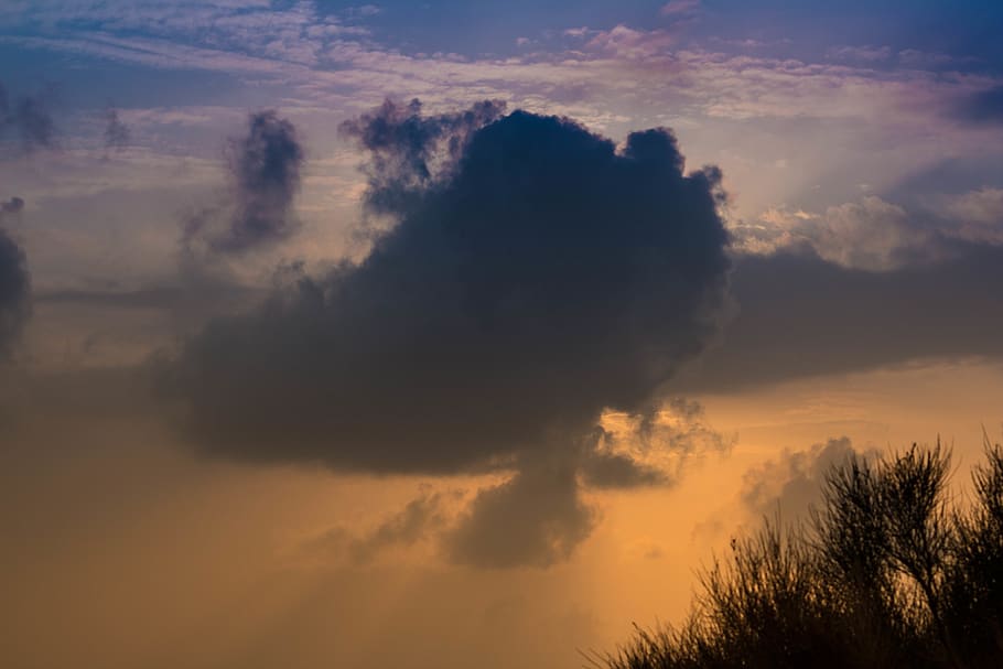 light, clouds, trees, winter sky, sunset, cloud - sky, beauty in nature HD wallpaper