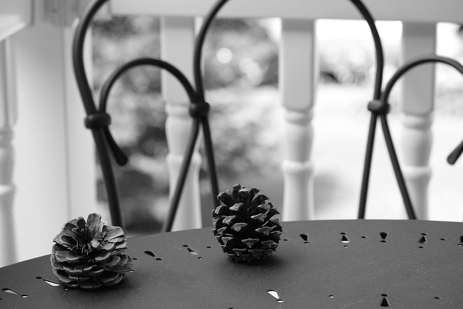 pinecone, pinecones, nature, focus on foreground, flower, no people, HD wallpaper