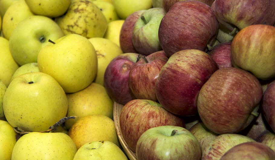 apples, fruit, eco, healthy, vitamins, fresh, delicious, food HD wallpaper