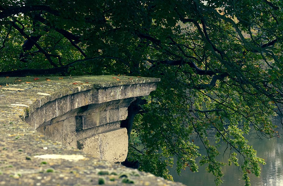 ledge, garden, wall, lake, tree, greenery, leaves, nature, stone HD wallpaper
