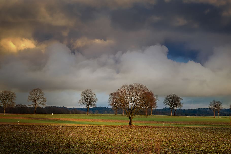 clouds, abendstimmung, barbed wire, mood, evening sky, landscape HD wallpaper