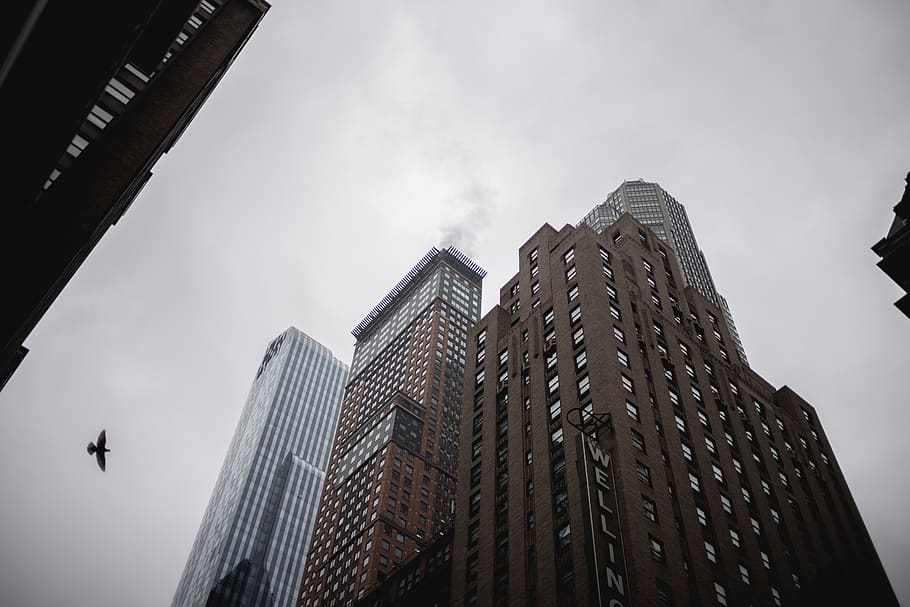 high-rise building under white clouds, architecture, city, urban HD wallpaper