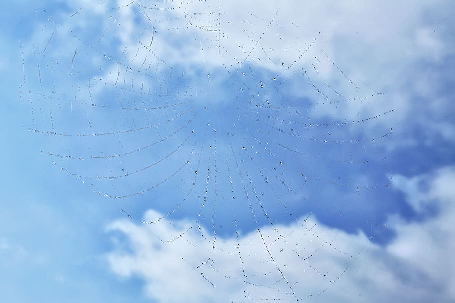 spider web, nature, sky, landscape, cloud - sky, no people HD wallpaper