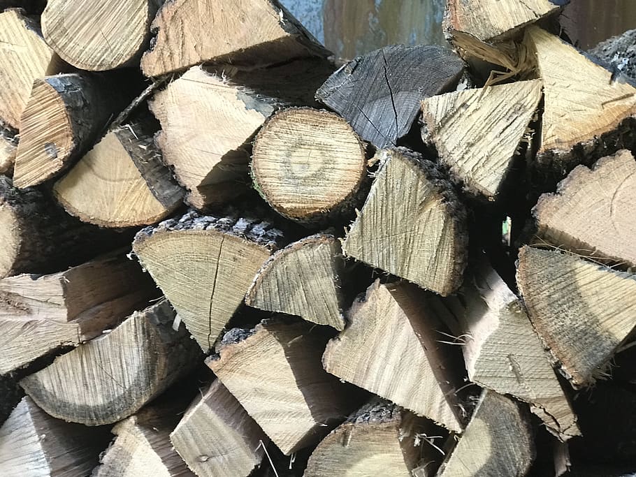 landscape, wood, trees, style, cut, woodcraft, woodart, bark HD wallpaper