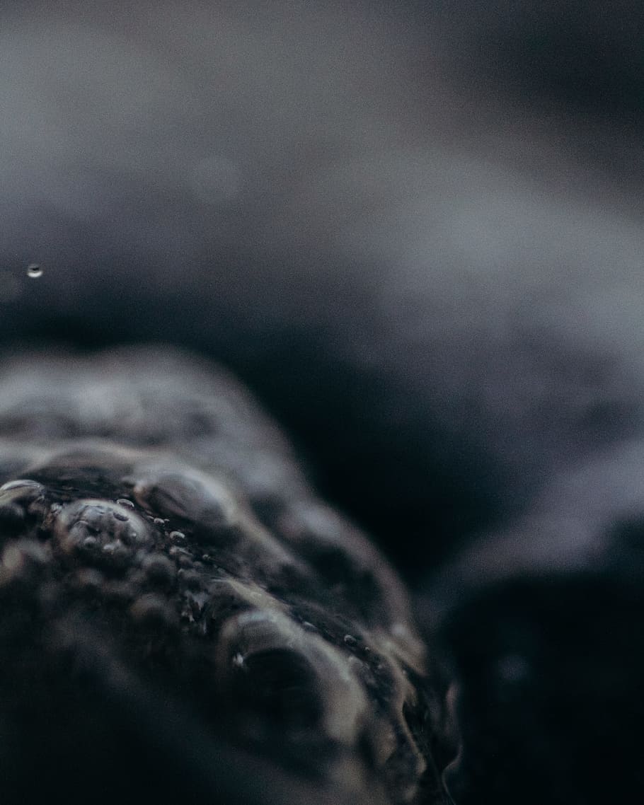 bubble, water, close up, liquid, outdoors, nature, macro, wildlife HD wallpaper