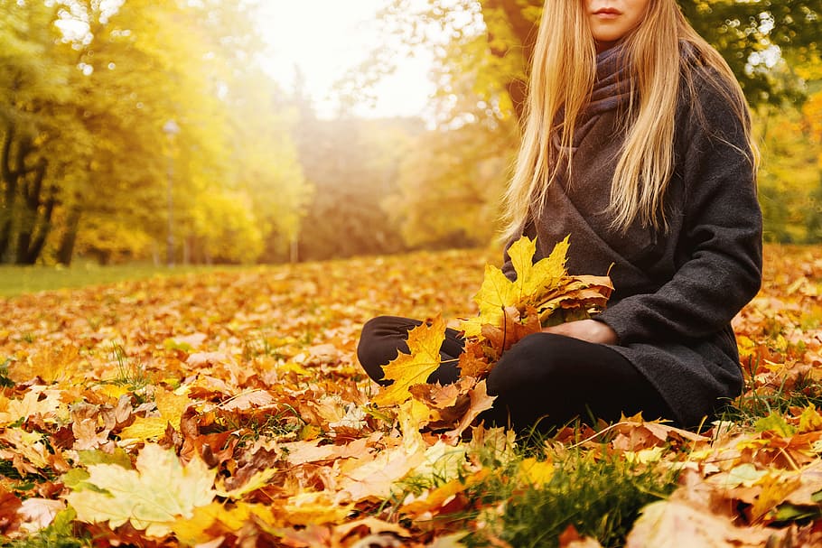 Young woman sitting on a fallen autumn leaves in a park, one person, HD wallpaper