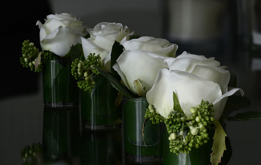 flowers, white, roses, bloom, beautiful, row, rest, flowering plant HD wallpaper