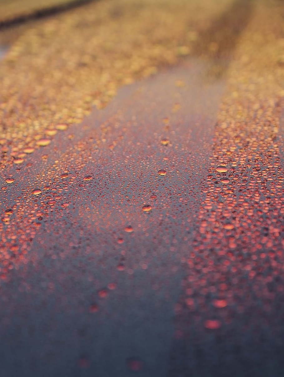 usa, malibu, rain, raindrops, Tesla, red, winter, weather, dew HD wallpaper