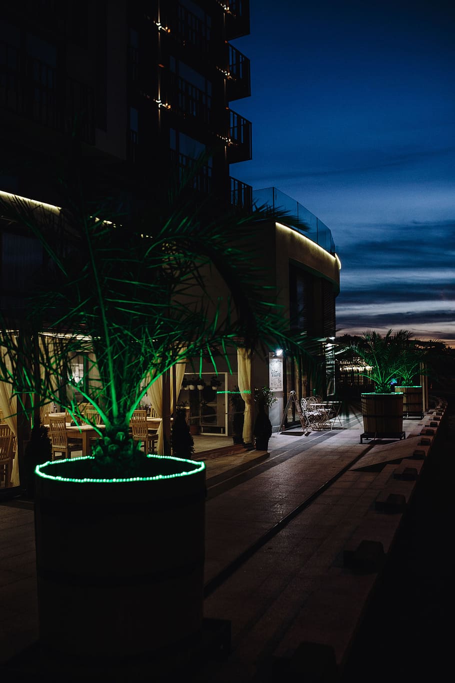 Illuminated palm trees, abstract, green, nature, leaf, leaves HD wallpaper