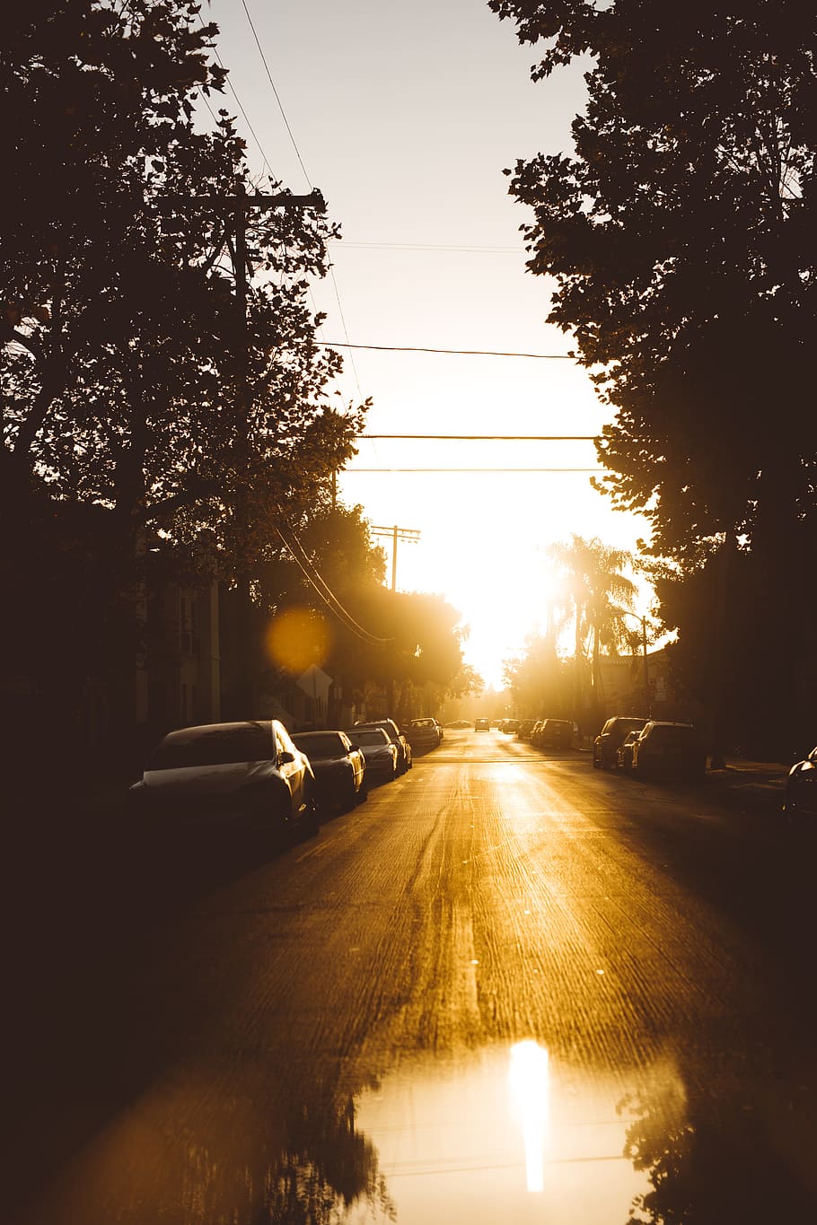 silhouette photo of car parked under trees, street, sunlight HD wallpaper