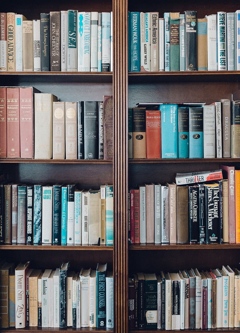 books, knowledge, education, office, school, library, shelf HD wallpaper