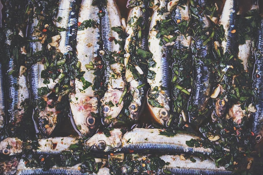Fish with herbs, marinated, seafood, no people, day, animal, nature HD wallpaper