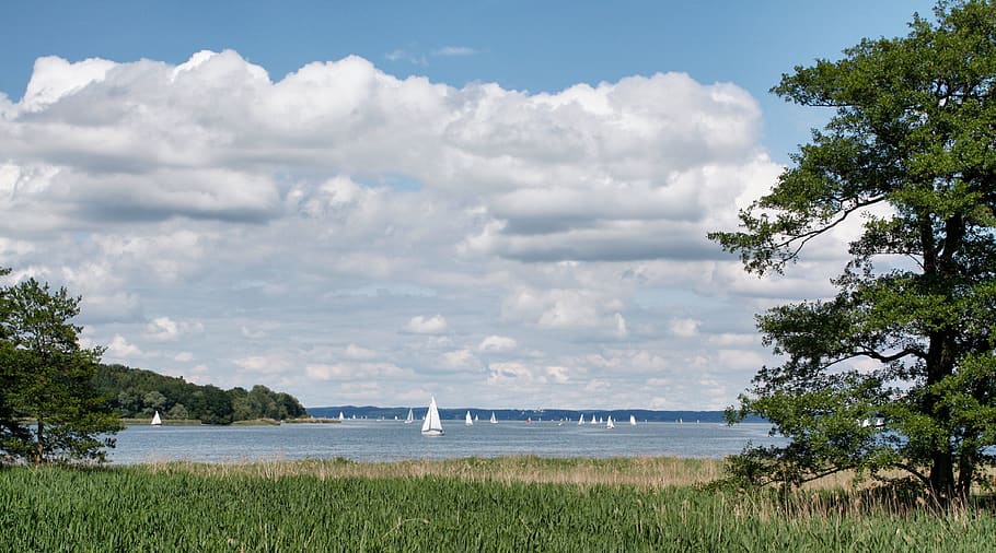 nature, panorama, waters, sky, trees, blue, blue sky, clouds HD wallpaper