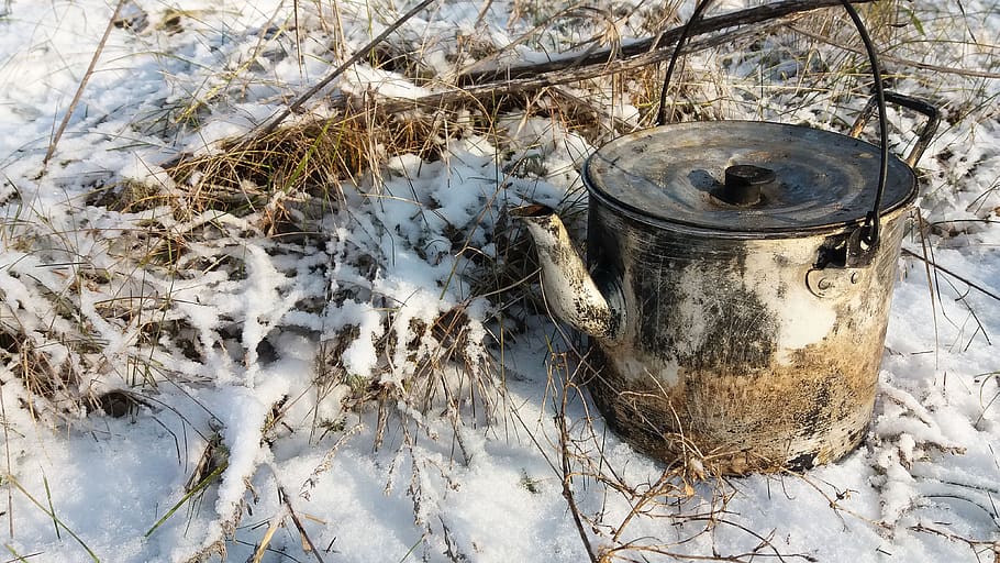 maker, winter, cold, snow, nature, tea, grass, picnic, the first snow HD wallpaper