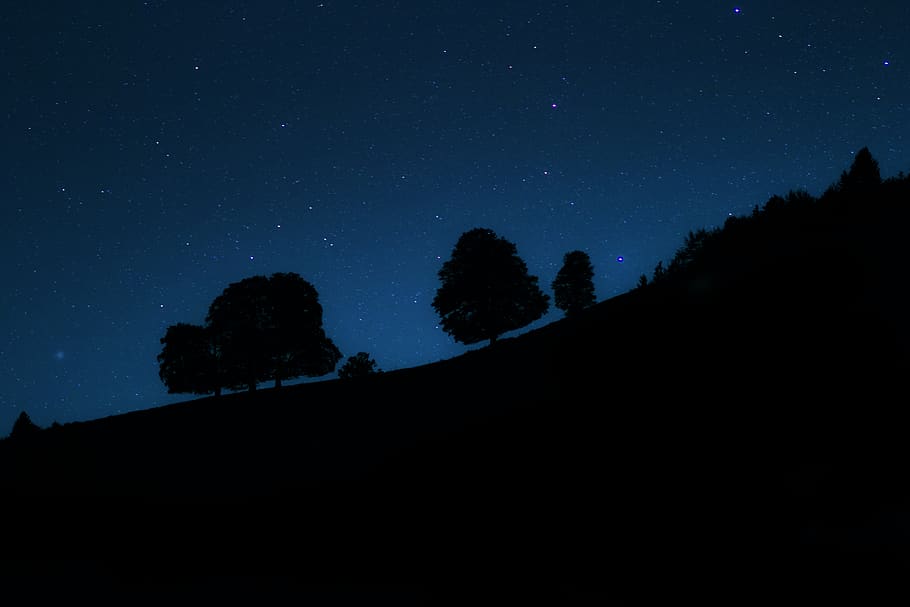 trees, mountain, top, silhouette, sky, stars, dark, night, peaceful HD wallpaper