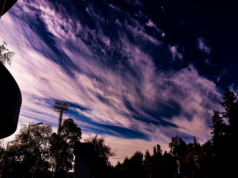russia, tomsk, cloud - sky, tree, plant, silhouette, low angle view HD wallpaper