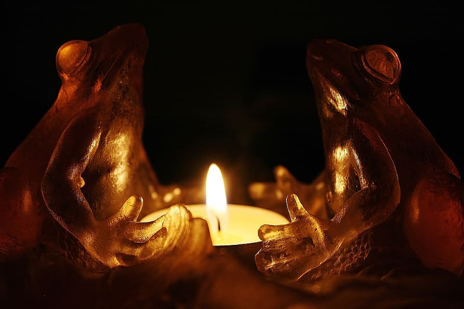 candle, deco, decoration, light, glass, frog, frogs, art, sculpture HD wallpaper