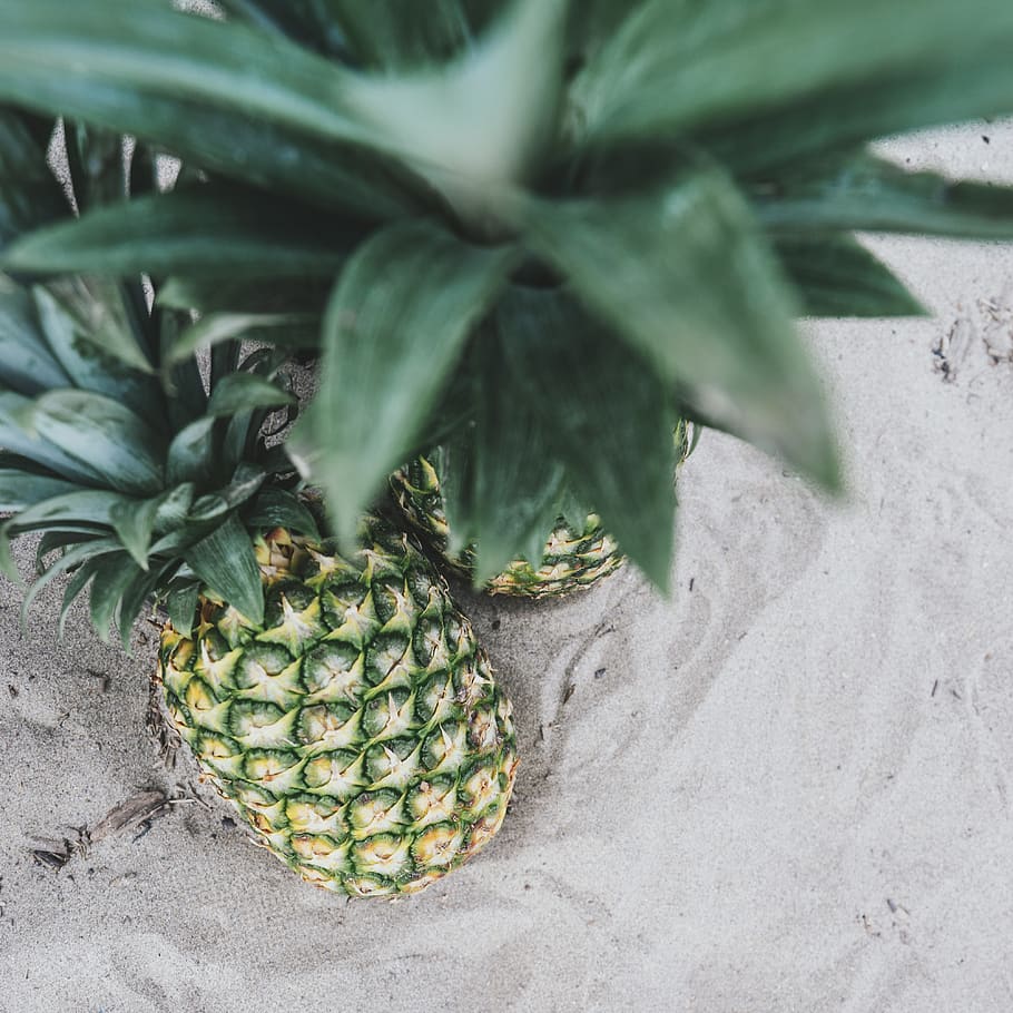 two pineapples on sand, fruit, food, produce, plant, flora, beach HD wallpaper
