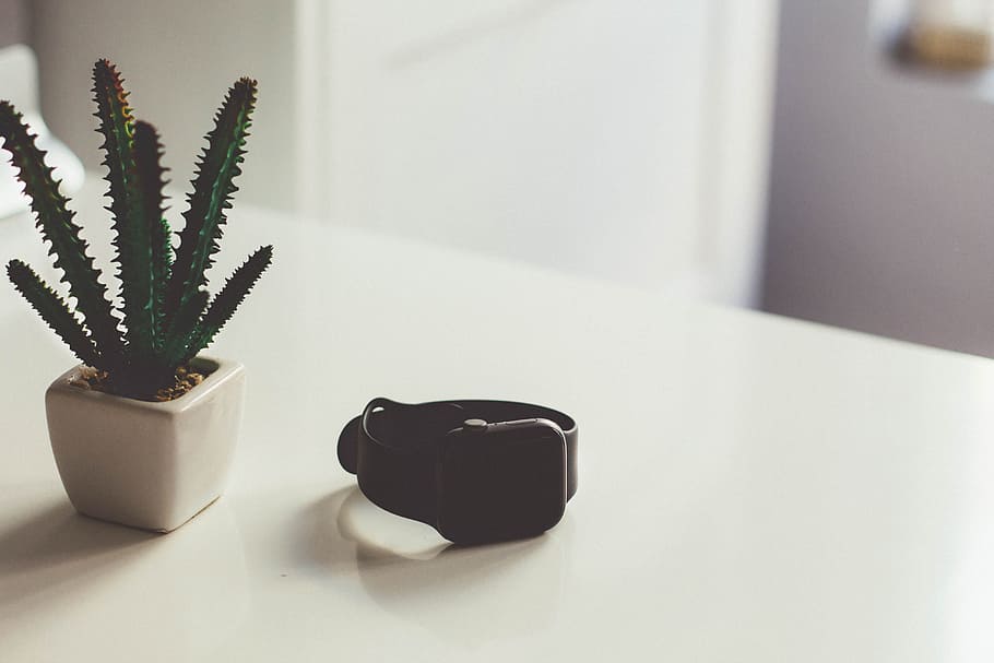 turned-off Apple Watch beside cactus plant on table, interior design