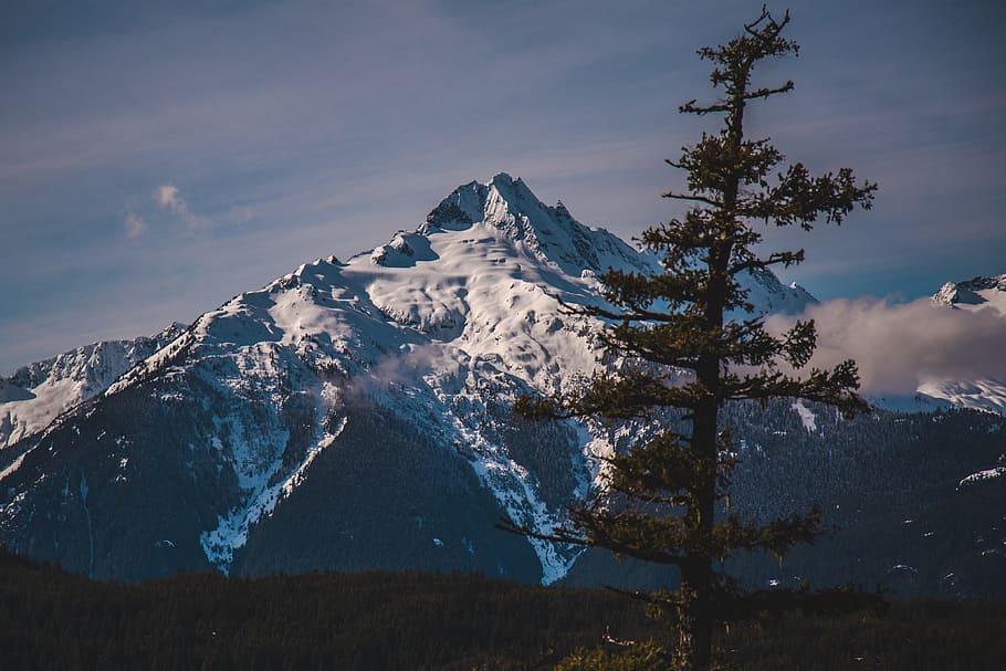 Snow Covered Mountain, adventure, clouds, cold, conifer, daylight HD wallpaper