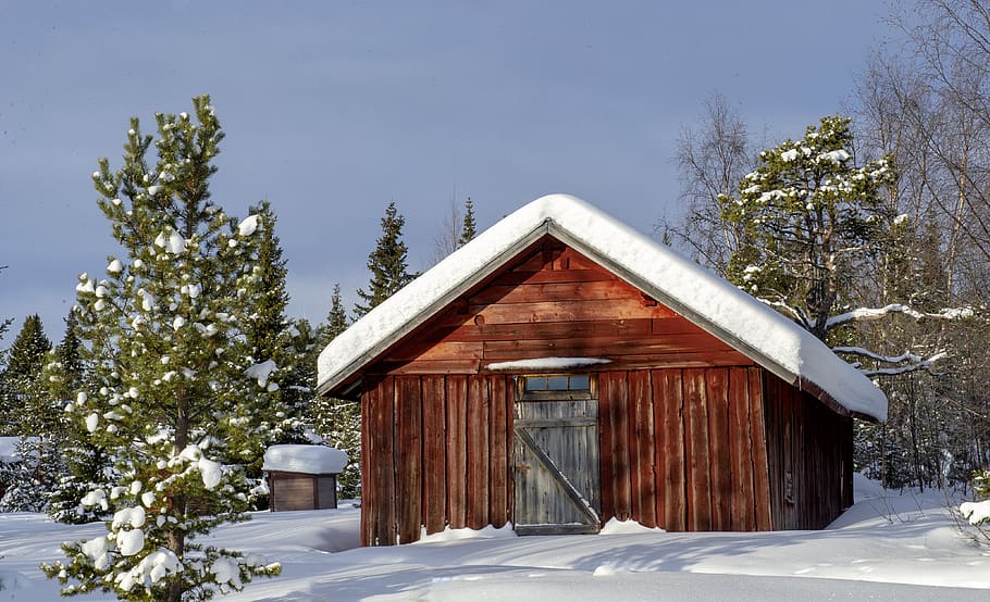 Wooden Shed Surrounded by Trees, architecture, barn, building HD wallpaper