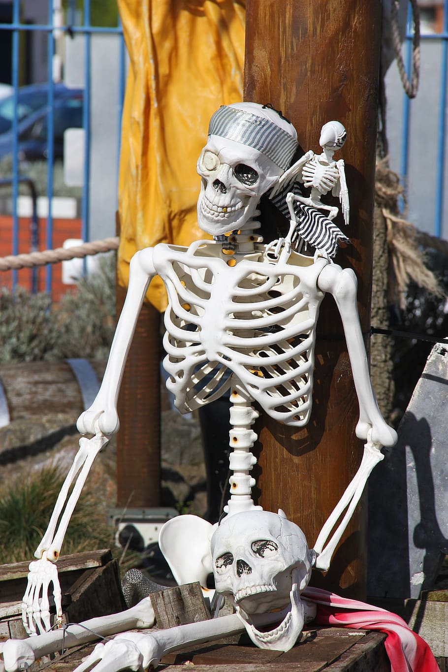 skeleton, bones, skull, death, dead, anatomy, scary, human HD wallpaper