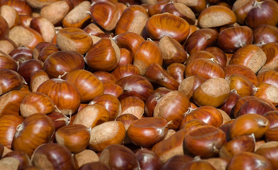 chestnuts, fall, fruit, harvest, food and drink, large group of objects HD wallpaper