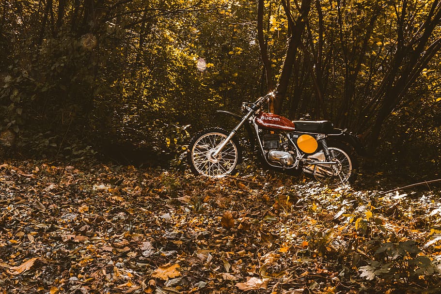 Red and Black Motorcycle Near Trees, colors, daylight, environment HD wallpaper