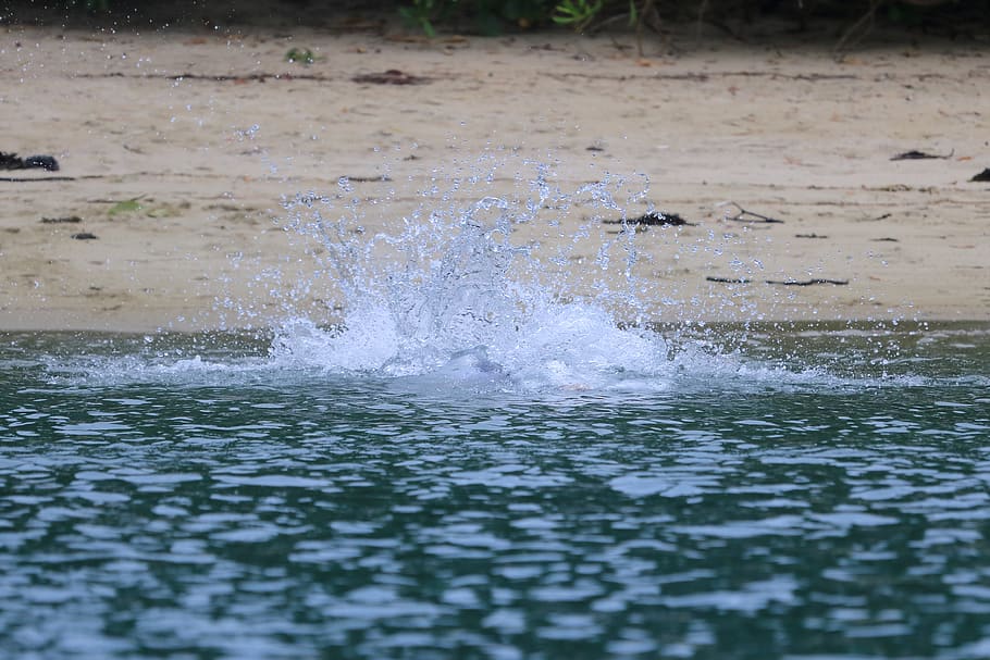 sea, ocean, beach, splash, water, waterfront, splashing, motion HD wallpaper
