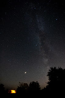 trees and starts, silhouette, space, galaxy, night, night sky HD wallpaper