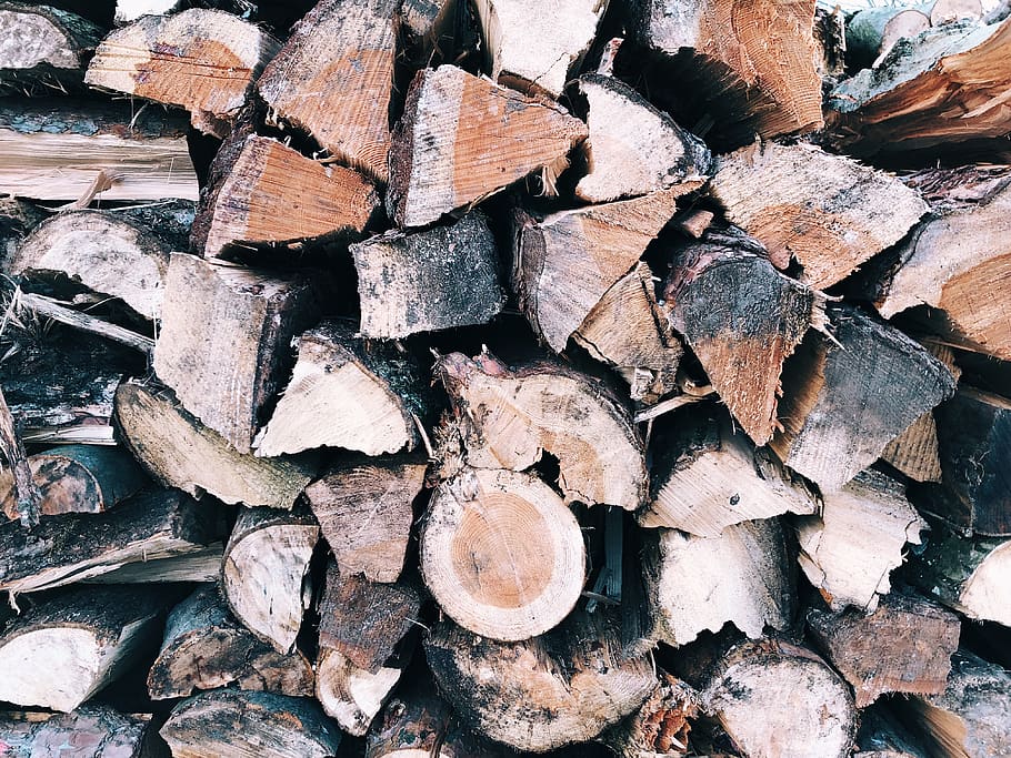 pattern, wood, nature, forest, log, backgrounds, timber, full frame HD wallpaper