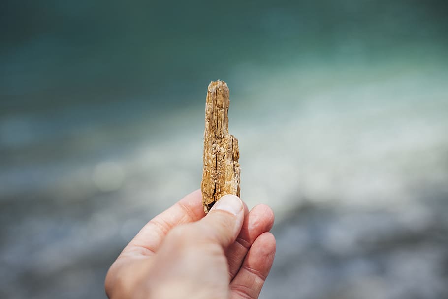 person holding brown wood, hand, bark, closeup, bokeh, detail HD wallpaper
