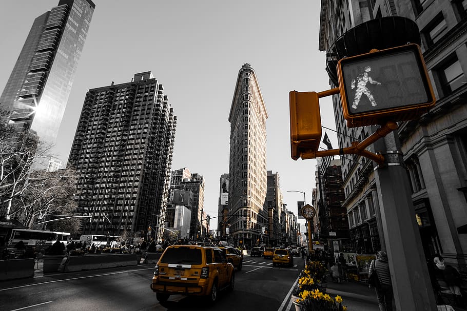 iron, flat, famous, triangle, walk, windows, flowers, skyscrapper HD wallpaper
