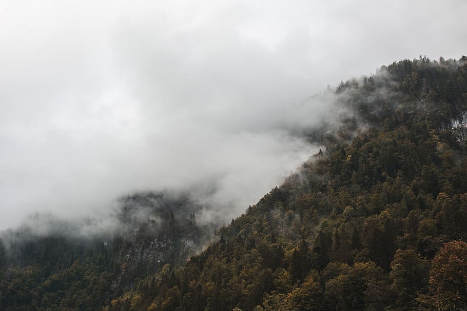 mountain covered with fog, outdoors, weather, mist, nature, grey HD wallpaper
