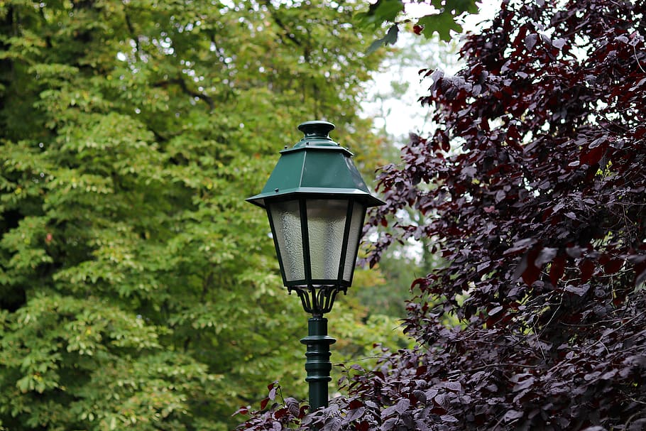 lantern, park, trees, lighting, plant, street light, lighting equipment HD wallpaper