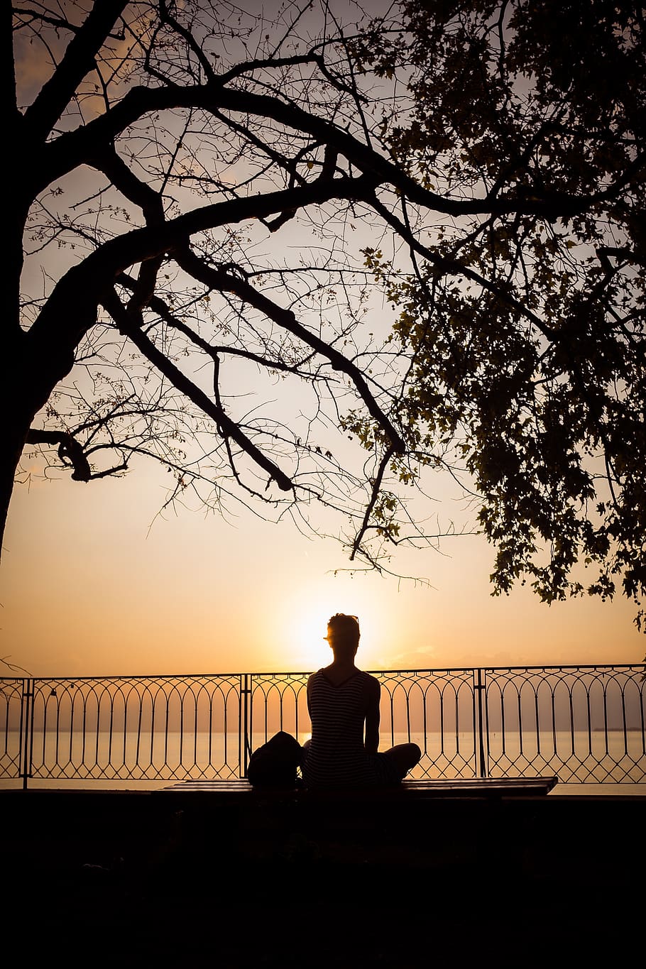 germany, lindau, branches, orange, girl, woman, meditation HD wallpaper