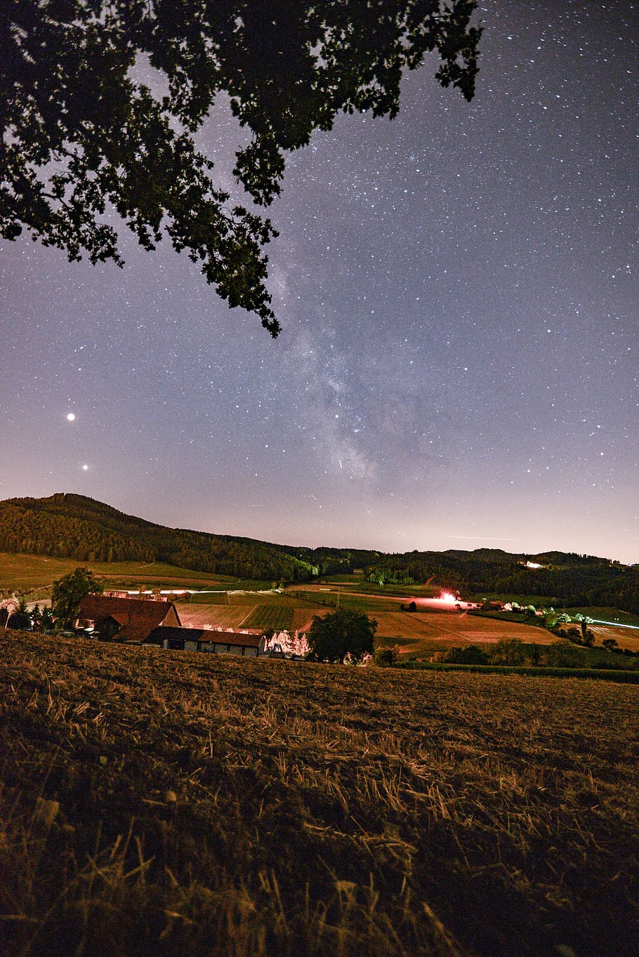 green trees under starry sky, nature, outdoors, universe, night HD wallpaper