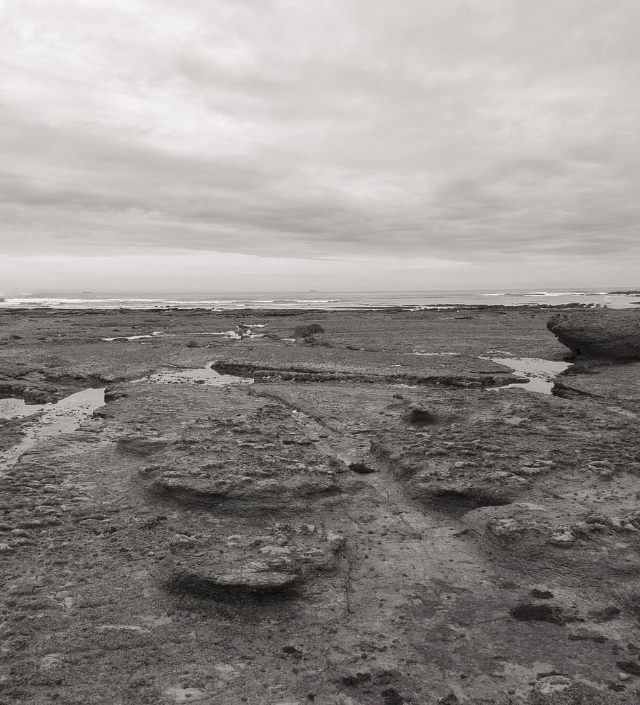 ground, wood, soil, ocean, rock, clouds, beach, rocks, nature HD wallpaper