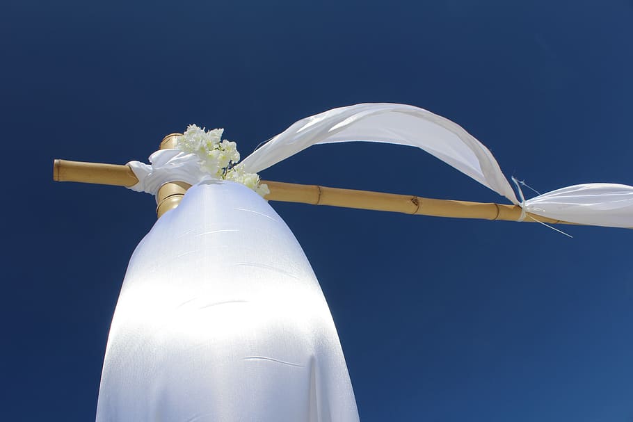 blue, sky, bamboo, wedding, white, flowers, deco, white color HD wallpaper