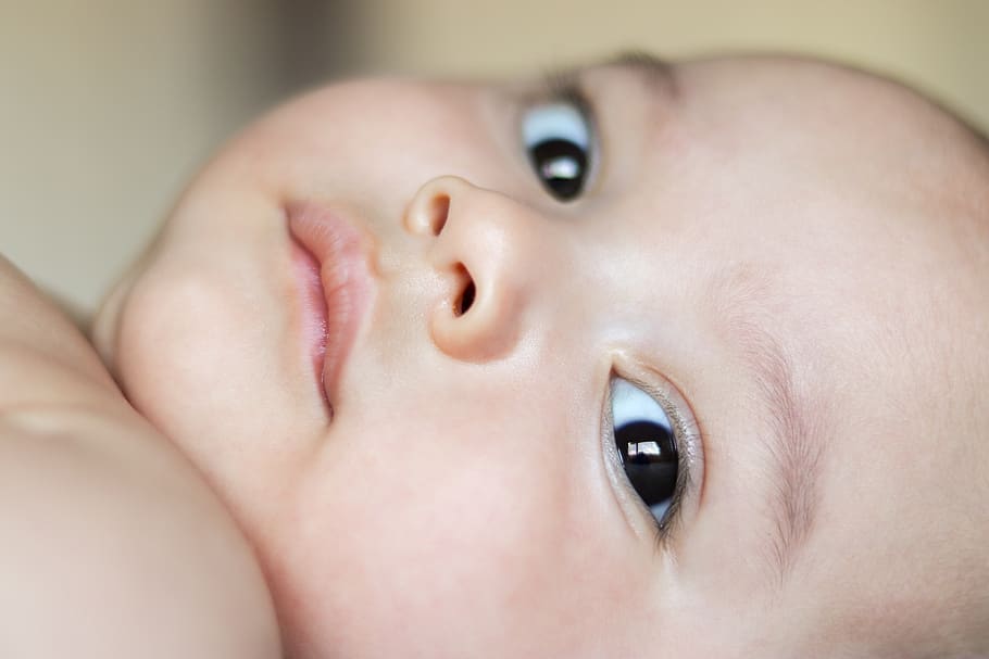 boy's face, baby, human body part, young, close-up, child, portrait HD wallpaper