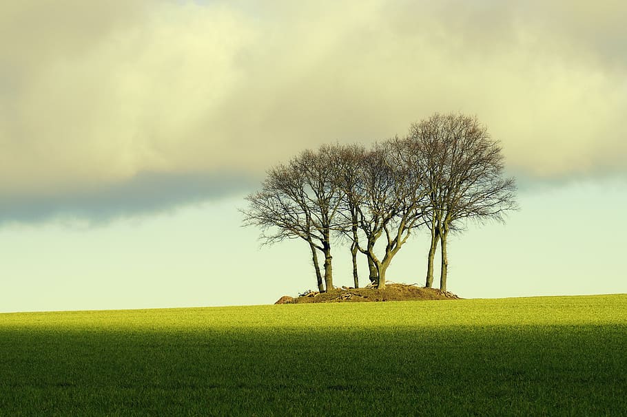 trees, island, landscape, green, secret, fantasy, sky, surreal HD wallpaper