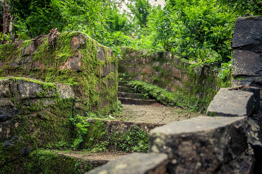 vietnam, kon tum, steps, path, green, moss, plant, tree, no people HD wallpaper