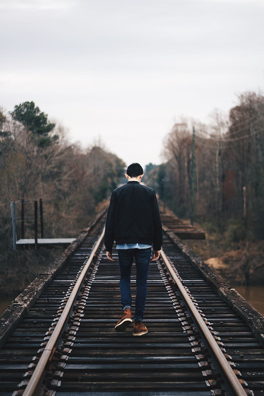 forest, man, portrait, tracks, railroad, trees, rear view, one person HD wallpaper